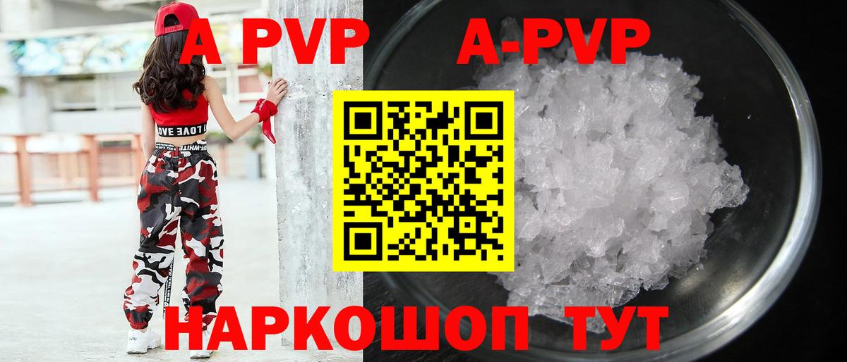 Alfa_PVP СК Шахты