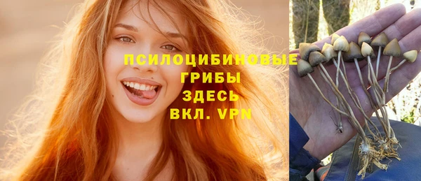 прущая мука Абаза